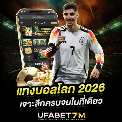 แทงบอลโลก 2026 เจาะลึกครบทุกเรื่องในหน้าเดียว